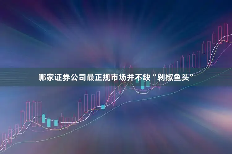 哪家证券公司最正规市场并不缺“剁椒鱼头”